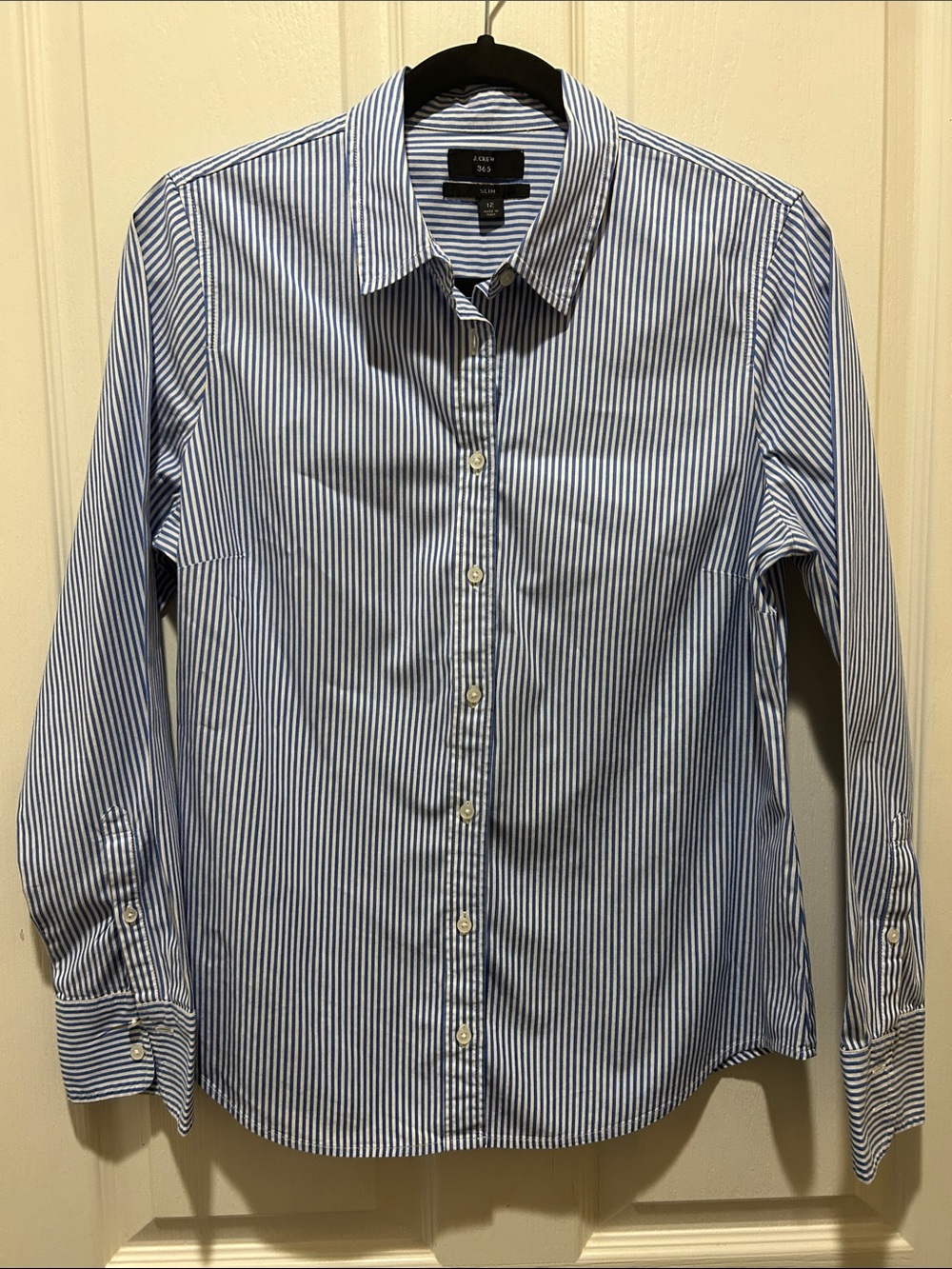 J. Crew Narrow Blue and White Stripe Cotton Shirt